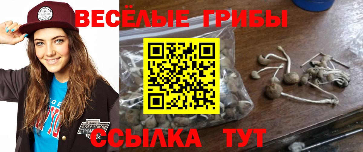 Галлюциногенные грибы Magic Shrooms  Вход с VPN  Галлюциногенные грибы MAGIC MUSHROOMS  Курск 